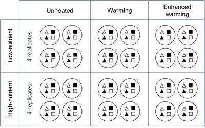 Warming Effects on Periphyton Community and Abundance in Different Seasons Are Influenced by Nutrient State and Plant Type: A Shallow Lake Mesocosm Study